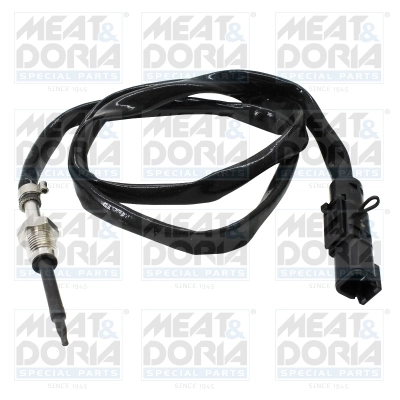 Sensor, exhaust gas temperature